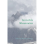 Invisible Mountains - Paperback