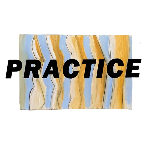 Practice - Hardcover