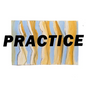 Practice - Hardcover