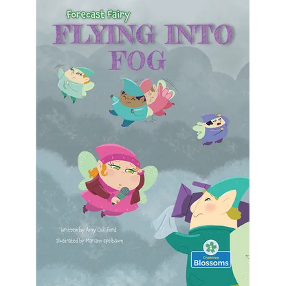 Flying Into Fog - Hardcover