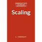 Scaling - Paperback