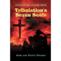 Tribulation's Seven Seals: Farmer and Emile's Great-Great Grandson Mark - Paperback
