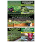 Ultimate Guide to Companion Gardening for Beginners & Ultimate Guide to Greenhouse Gardening for Beginners & Ultimate Guide to Raised Bed Gardening fo - Paperback