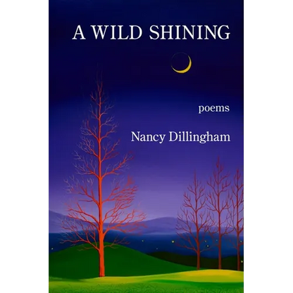 A Wild Shining - Paperback