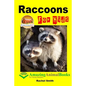 Raccoons For Kids - Paperback