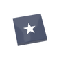Presidential Star Carpet / Floor Tile - Custom Printed - Made with LEGO Parts