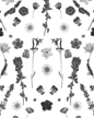 Pressed Fresh Version 02 Wallpaper, black and white