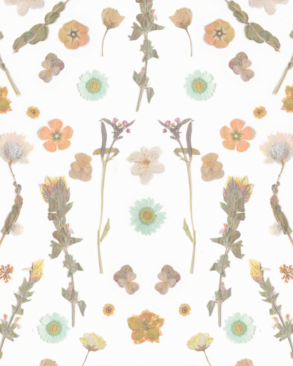 Pressed Fresh Version 02 Wallpaper, peach and mint