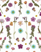 Pressed Fresh Version 02 Wallpaper, purple and blue