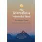 The Marvelous Primordial State - Paperback