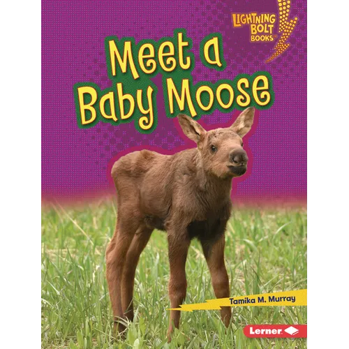 Meet a Baby Moose - Library Binding