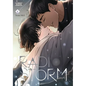 Radio Storm, Vol. 4 - Paperback
