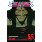 Bleach, Vol. 55 - Paperback