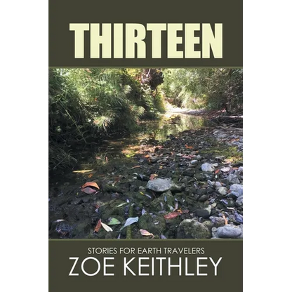 Thirteen: Stories for Earth Travelers - Paperback