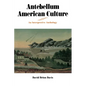 Antebellum American Culture: An Interpretive Anthology - Paperback