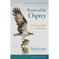 Return of the Osprey: A Season of Flight and Wonder - Paperback