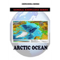 Arctic Ocean - Paperback