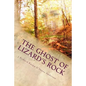 Cow Pie Gang: The Ghost of Lizard's Rock - Paperback