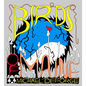 Birds of Maine - Hardcover