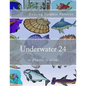 Underwater 24: in Plastic Canvas - Paperback