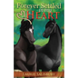 Forever Settled in My Heart - Paperback