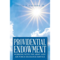 Providential Endowment: Working with the Army and Air Force Exchange Service - Paperback