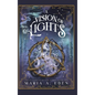 A Vision of Lights - Hardcover