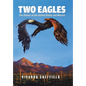Two Eagles: The History of the United States and Mexico - Hardcover