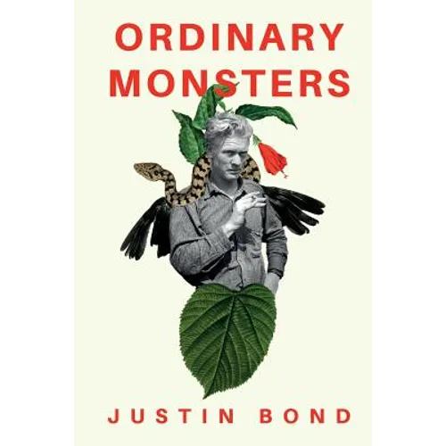 Ordinary Monsters - Paperback