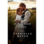 The Lady of Red River Valley - Paperback