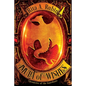 Amulet of Wishes - Paperback