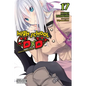 High School DXD, Vol. 17 (Light Novel): Professor Valkyrie - Paperback