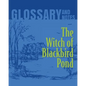The Witch of Blackbird Pond Glossary and Notes: The Witch of Blackbird Pond - Paperback