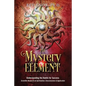 The Mystery Element: Understanding the Habits of Success - Paperback