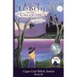 ElsBeth and the Call of the Castle Ghosties: Book III in the Cape Cod Witch Series - Paperback