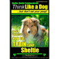 Sheltie, Sheltie Training AAA AKC Think Like a Dog But Don't Eat Your Poop!: Here's EXACTLY How To TRAIN Your Sheltie - Paperback