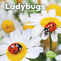 Ladybugs - Paperback
