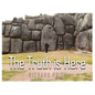 The Truth is Here - Hardcover