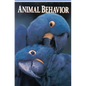 Animal Behavior - Hardcover