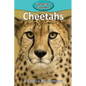 Cheetahs - Paperback