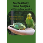 Successfully tame budgies within a few weeks: How does clicker training birds with budgerigars work? A step-by-step guide for budgies taming and parak - Paperback