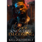 You Know How I'm Coming: An African American Romance - Paperback