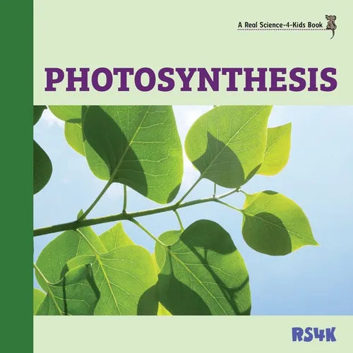 Photosynthesis - Paperback