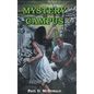 Mystery on Campus: A Flaugherty Twins Mystery - Book 2 - Hardcover