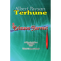 Terror's Terroir - Paperback
