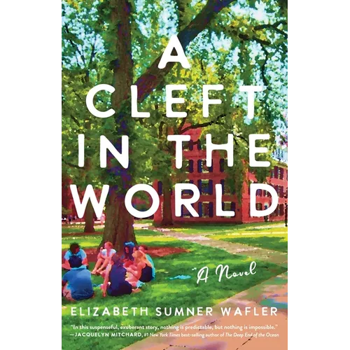 A Cleft in the World - Paperback