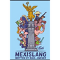 Mexislang: The key to understanding what the hell your mexican friends are saying. - Paperback