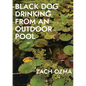 Black Dog Drinking from an Outdoor Pool - Paperback