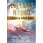 Divorcing Normal Chasing After Eden - Paperback