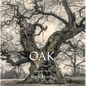 Oak: From Seed to Ancient Tree - Hardcover